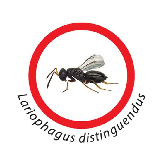 Osd gruppo Ecotech srl